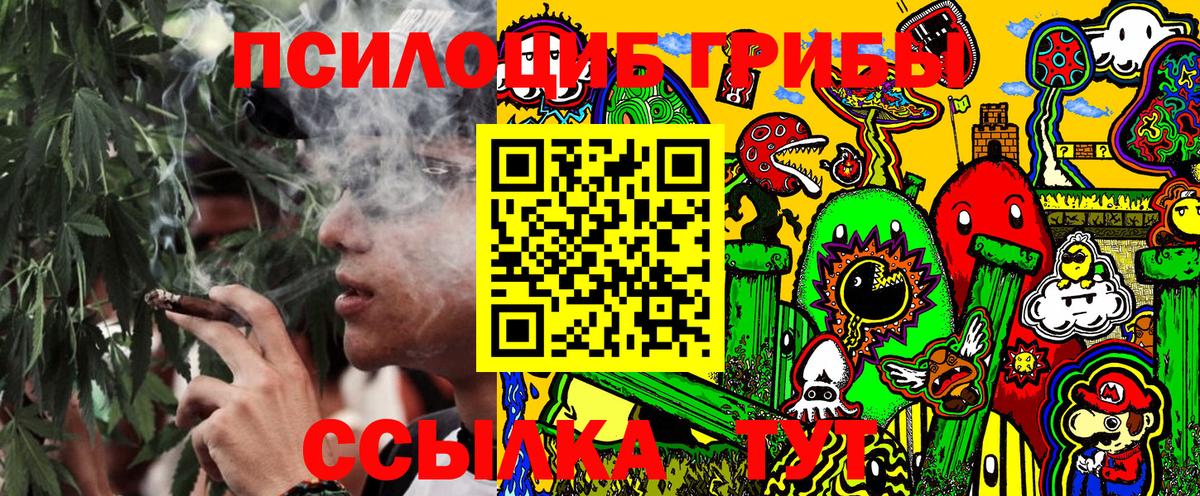 Галлюциногенные грибы Psilocybine cubensis Советский